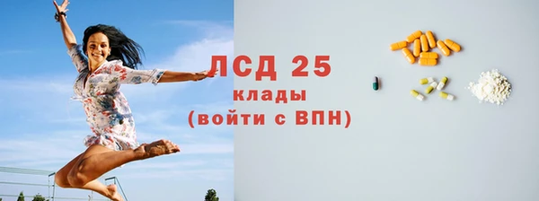 мяу мяу мука Елизово