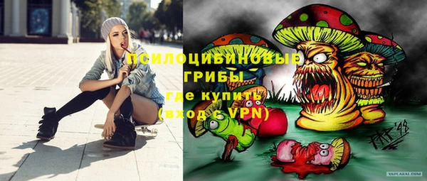 мяу мяу мука Елизово