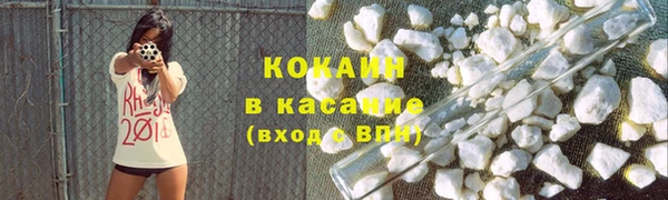 мяу мяу мука Елизово