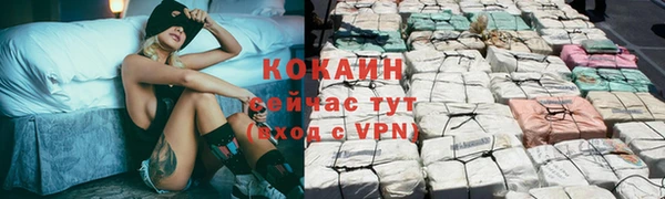 мяу мяу мука Елизово